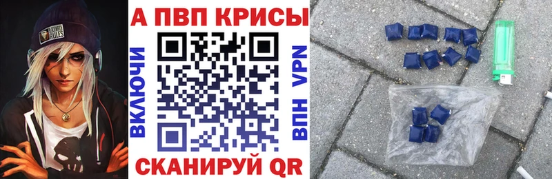 A PVP СК закладка Ясный