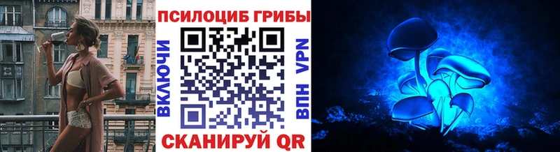 Псилоцибиновые грибы Psilocybine cubensis Ясный